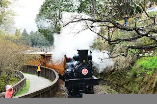 經典的櫻花隧道