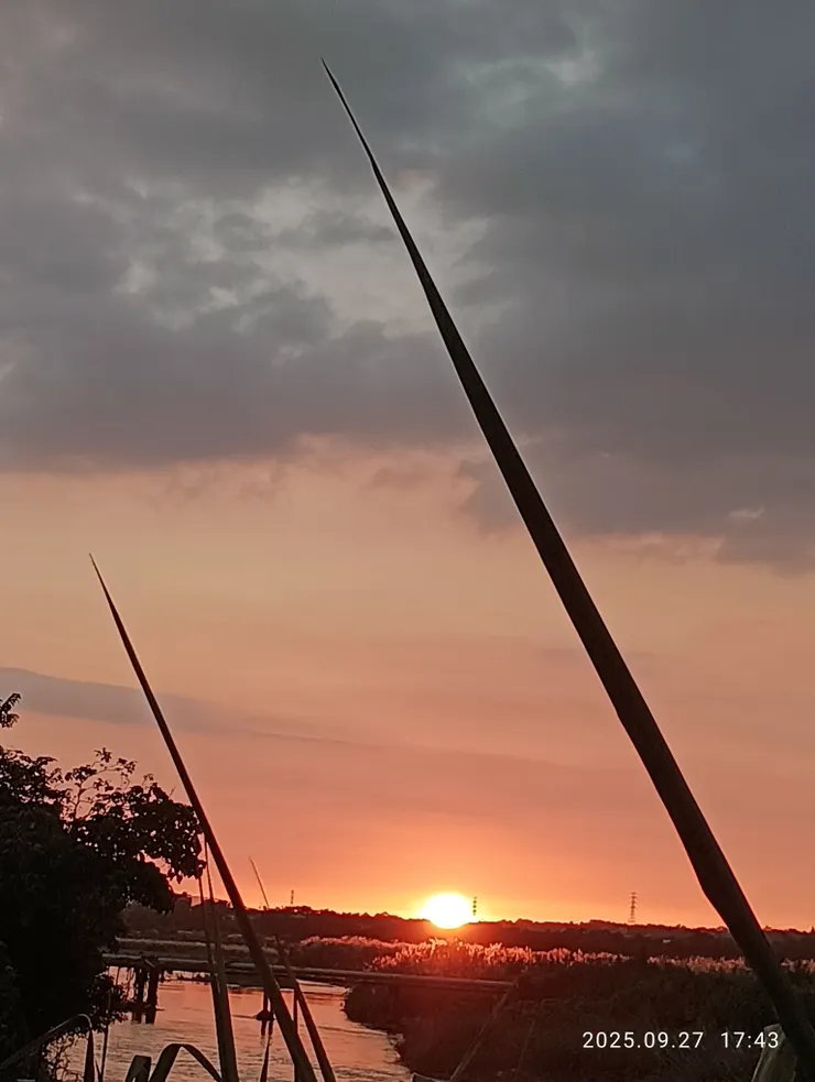 斜暉眽眽，自拍攝