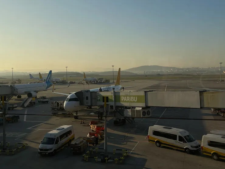 真的等到天荒地老