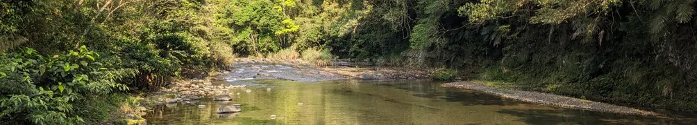 蓋瑞野什麼的沙龍