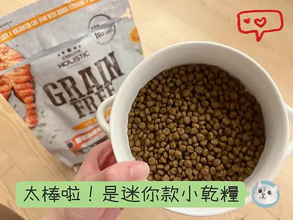  Absolute holistic超越顛峰無穀貓糧 顆粒小好消化