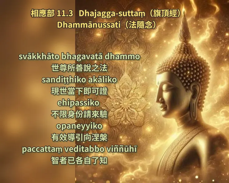 佛陀法語  | 法隨念