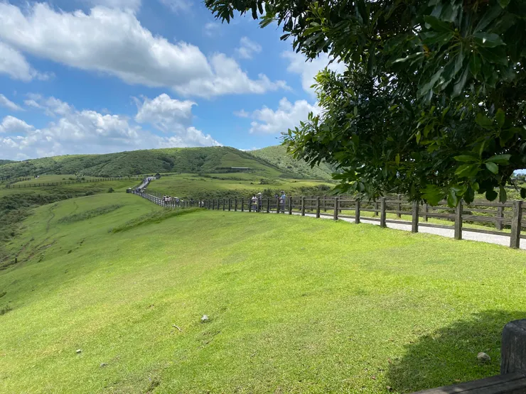 綠波遼闊擎天崗