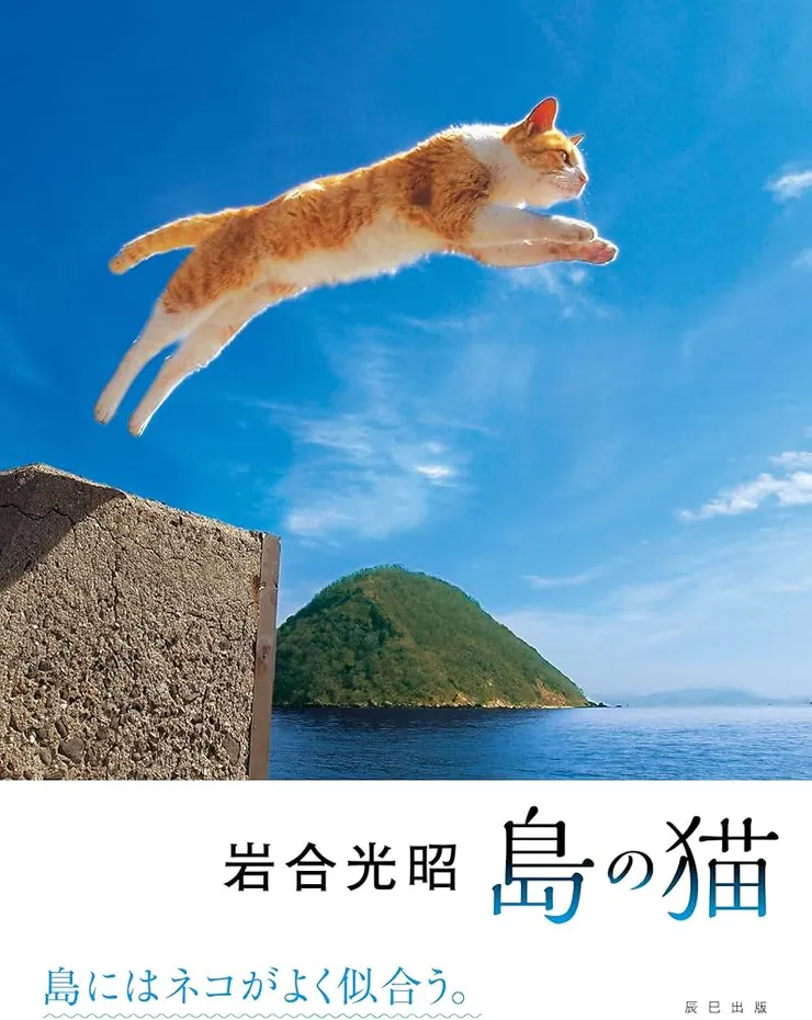 動物攝影師：岩合光昭之『島の猫』寫真集