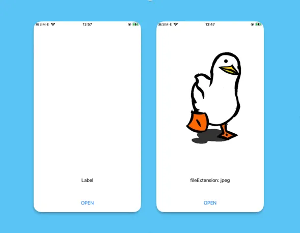 顯示鴨鴨.gif是一張jpeg檔