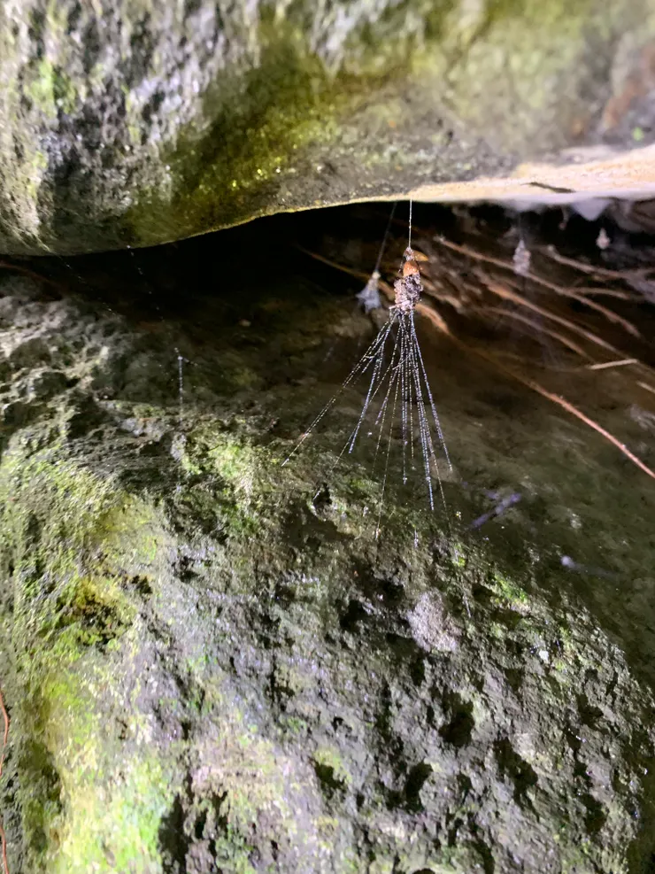 四個頂（1光3無光）