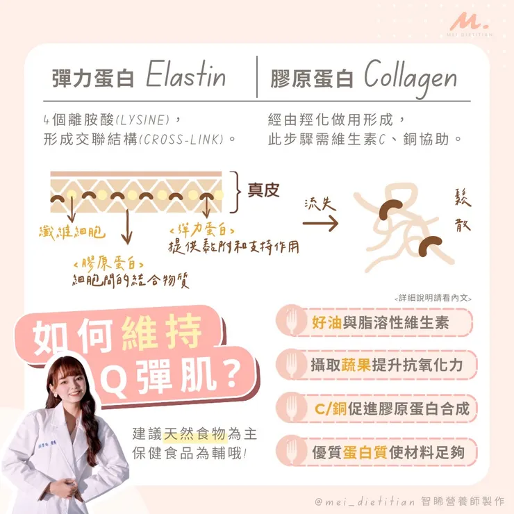 NO.02 : 如何利用天然食物維持Q彈肌?