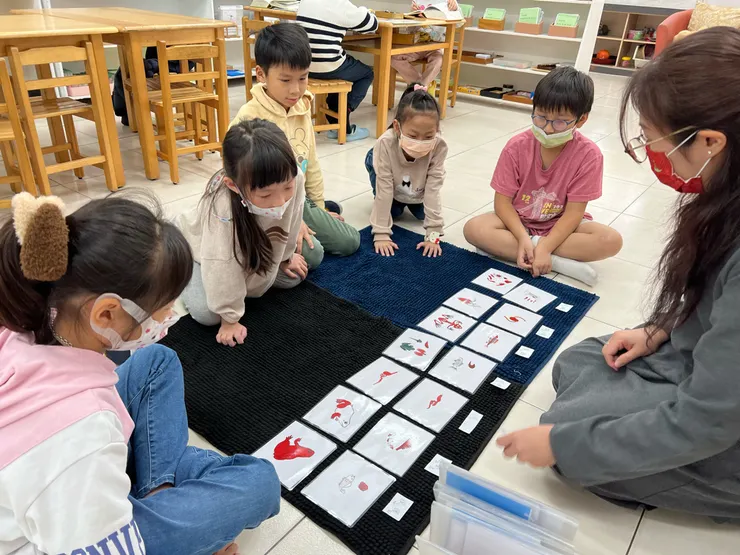 台南小學教育新風貌：上華蒙特梭利教育機構引領孩子自主學習的未來