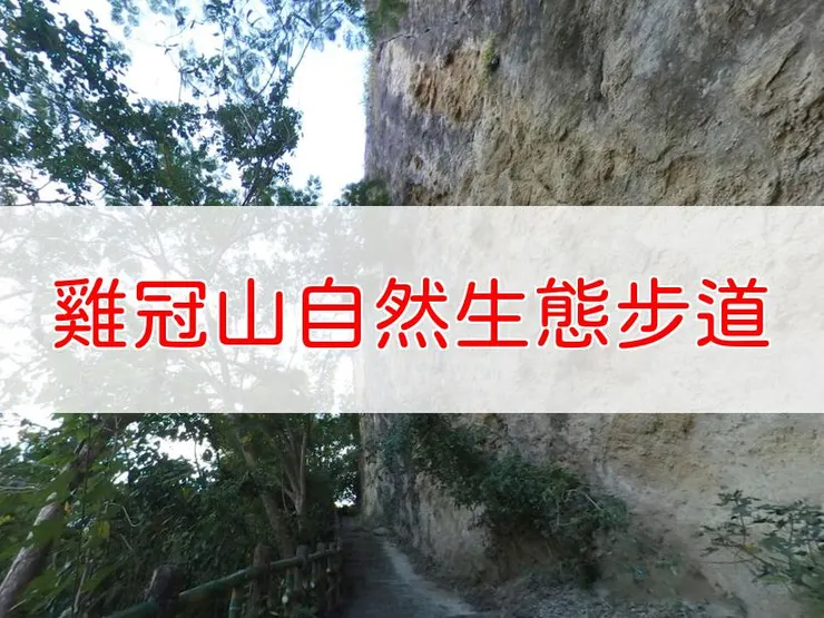 【高雄】雞冠山自然生態步道 | 全長里程：3.2公里 | 難易度：低