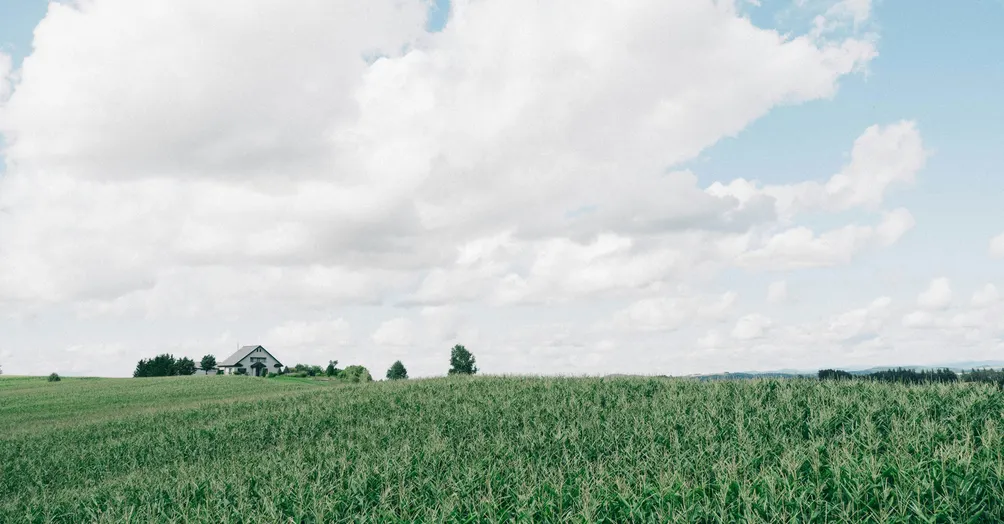 靈性｜內在學習分享