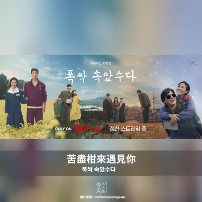 不專業短評 | 《苦盡柑來遇見你（폭싹 속았수다）》