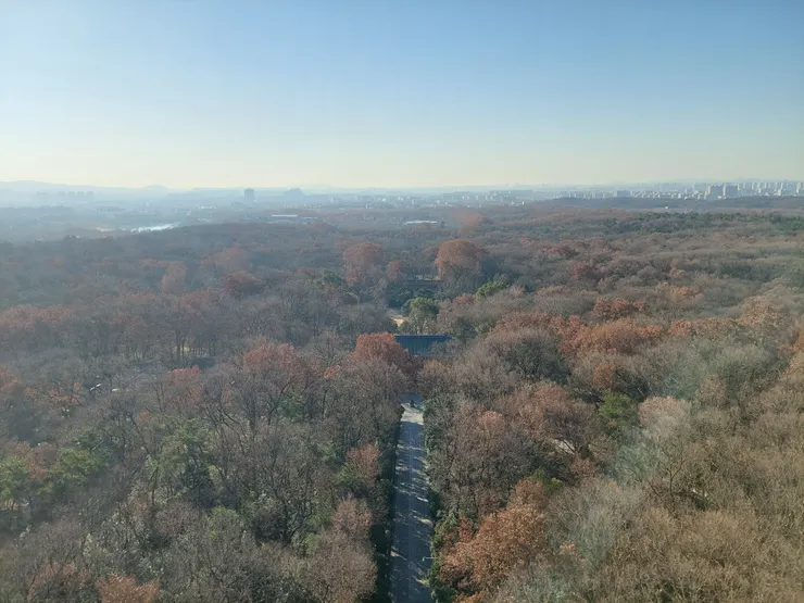 靈谷塔上的景觀