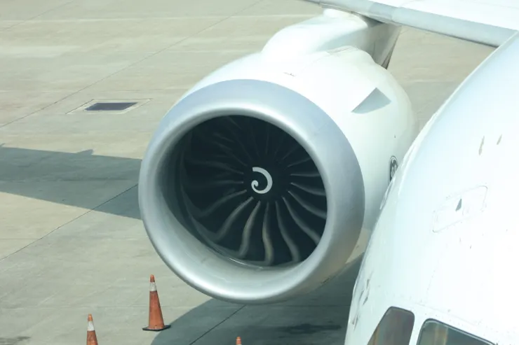 看著鷹眼，我忽然有點頭暈