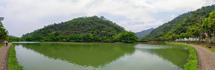 【望龍埤的花田村若有似無 我們的下一站將通往幸福】