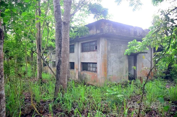 第一戰發生在警務連房舍附近。中央社記者盧太城台東攝