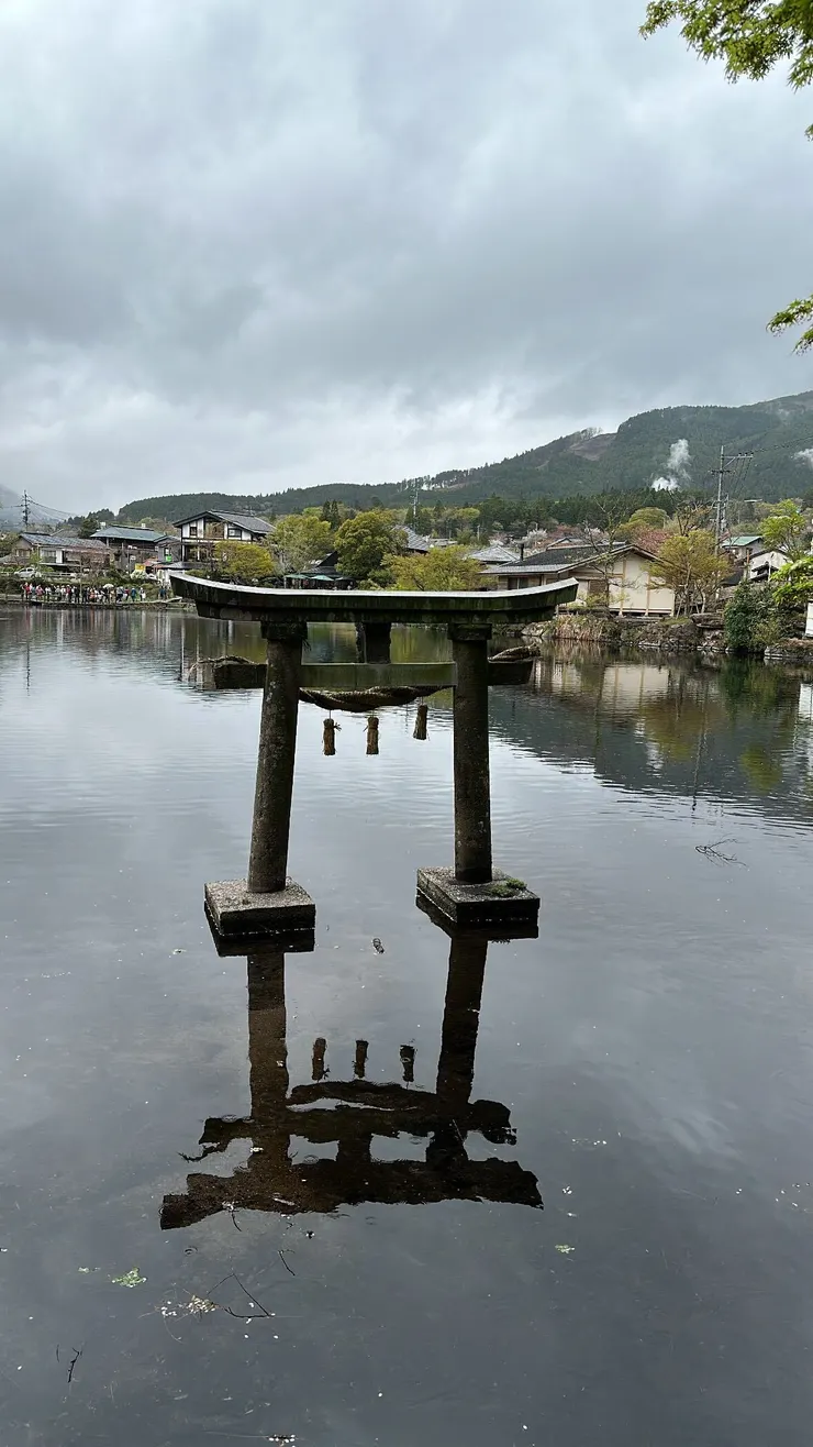 陰天真的很可惜