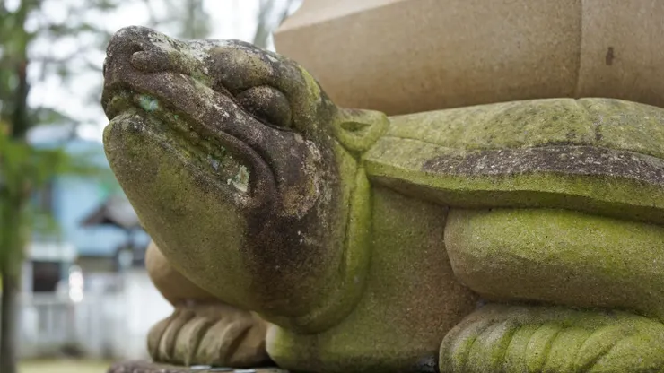 境內饒富歷史感的龜