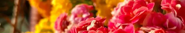 北印度舞蹈劇場（印度文化工作室）