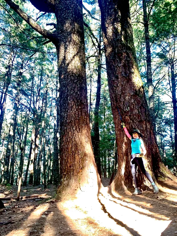夫妻樹，是這個高繞的最高點。