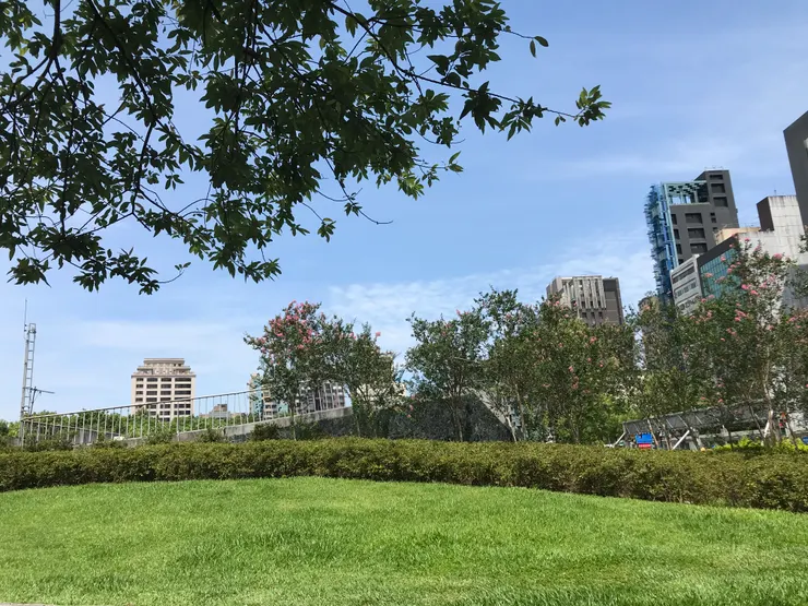 2025-6-1大安森林公園行禪