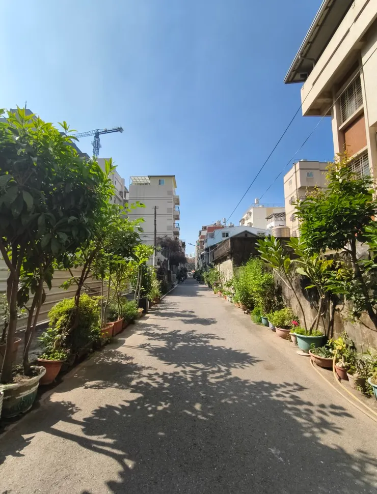 買飯路上經過的街道，一路上好多植栽