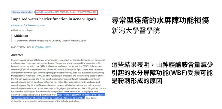 痘痘的起因曝光