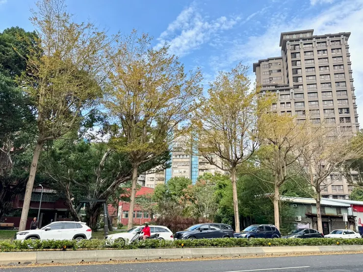 台北市莒光路街景