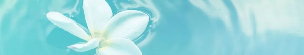 Talia療心畫愛的沙龍