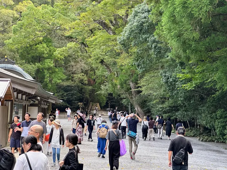 壯闊的森林是神宮美好的景象