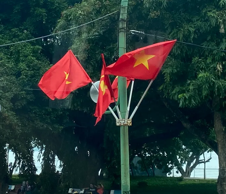 越南的國旗與黨旗