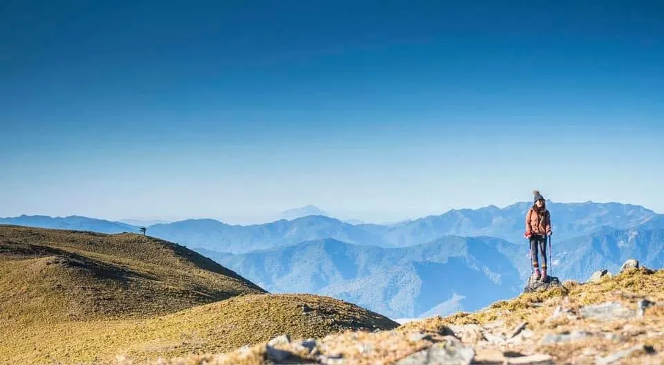 小貓依人ᓚᘏᗢ 大貓YiTing