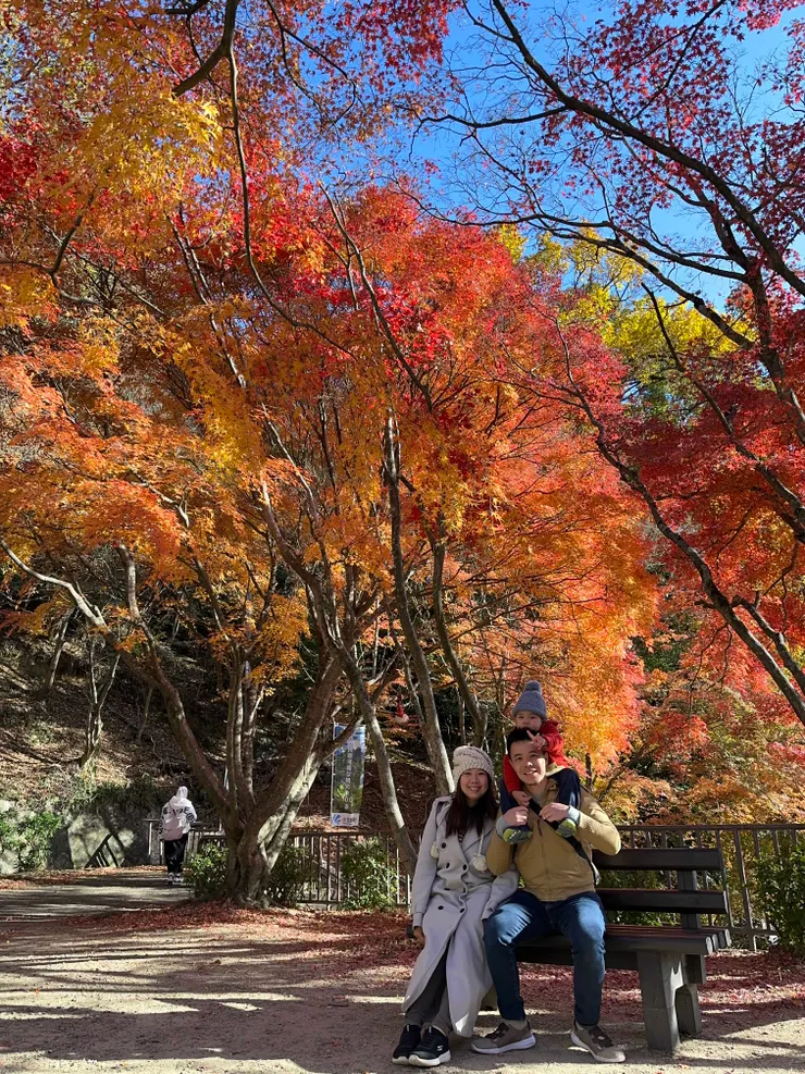 日本秋天賞楓很美，天氣很舒服