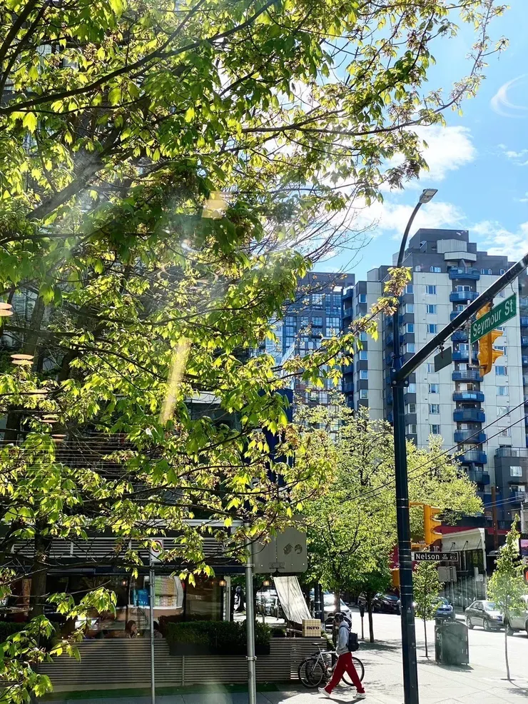 溫哥華市區美景