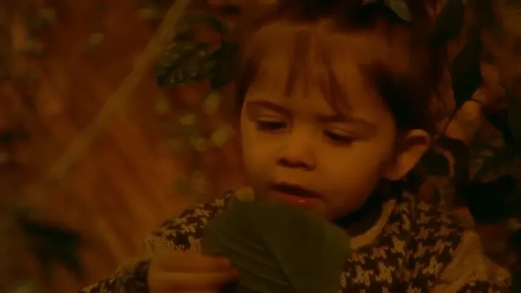 《雙面薇若妮卡》