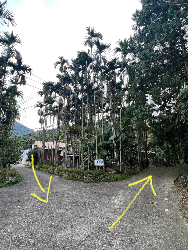 落在後頭 LDS的歐巴桑別走錯路