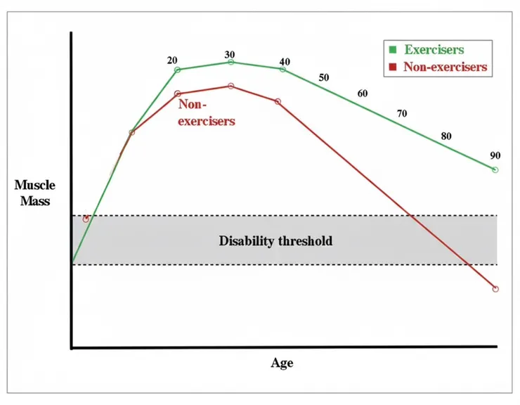 肌肉量與年齡變化