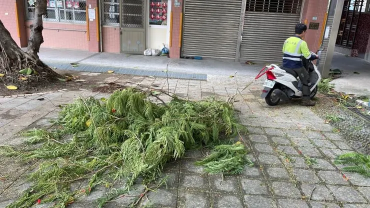 機車拖拉樹枝省力