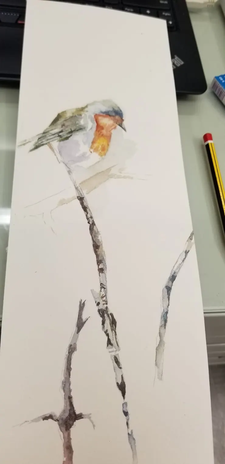 在翅膀上,和喉嚨上加入較濃的色彩,這一步需要等待第一步乾了一點後才可加色。