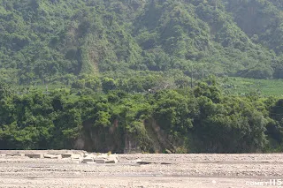 眺望鹿野溪對岸的舊橋台