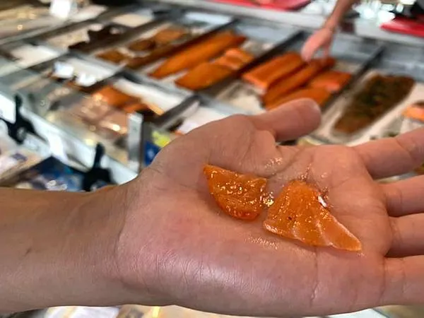 300天環遊世界之旅：挪威自駕露營全紀錄