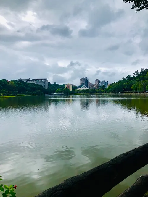 一個鬧中取靜的世界，在人潮較少的平日下午，顯得格外愜意悠閒。