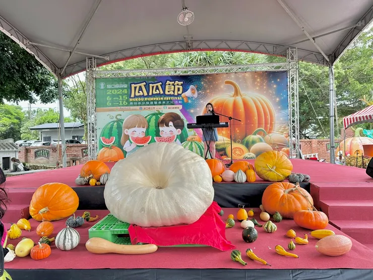 在歐洲萬聖節看過很多南瓜，還真的是在台灣才看到這麼大一顆