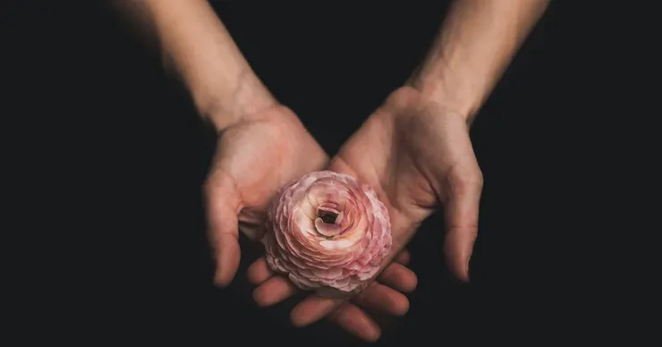 Photo by Matthew Henry on Unsplash