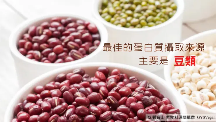 我們可以從豆腐、豆漿、豆干、等都能攝取到植物性蛋白質