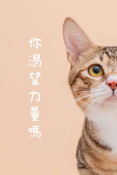 淡藍羽翼的投資書庫