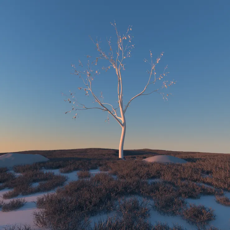 邱德政/未存檔的森林001/空間裝置/2022