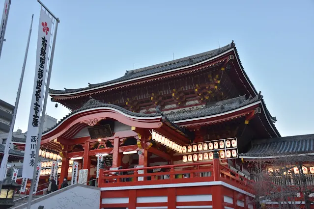 屋頂滿滿的都是鴿子XD