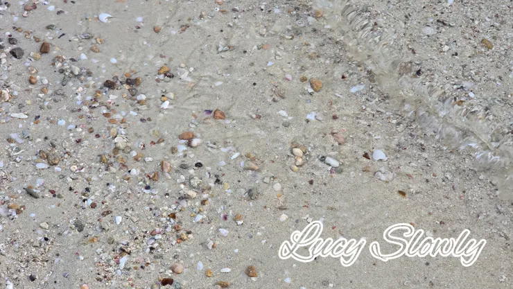 這個海灘比較髒、碎貝殼跟垃圾也比較多