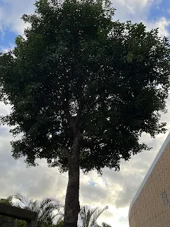 一個渾身充滿怨氣的人,又如何能吸引美好的事物到自己身邊呢?因此,萬事萬物都有共通之處。透過內在的感官來覺察當下,能夠充分理解到當下的重要性。了解過去與未來都不重要,除非是有必要時才要去予以連接。