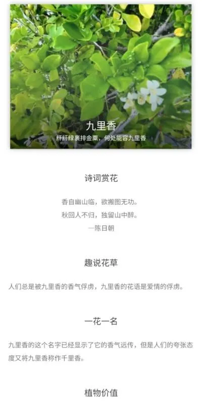 形色識花.App辨識